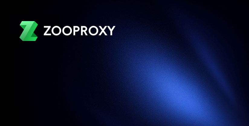 ZooProxy Shows How to Properly Select Native IP for SEO Business